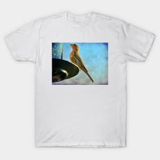 feeder finch T-Shirt